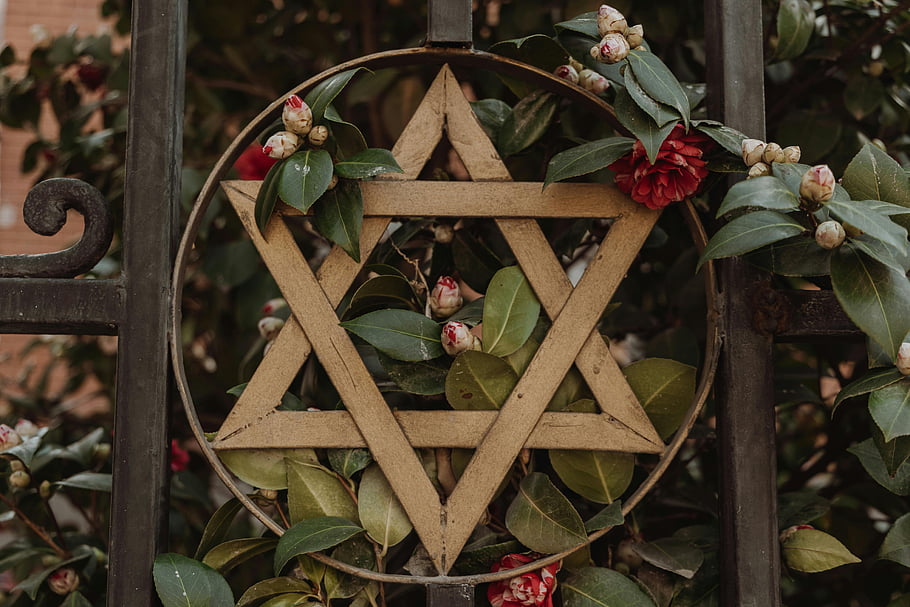 wooden star of david red flowers green leaves outdoors close up wooden star ornamental decoration nature garden metal gate